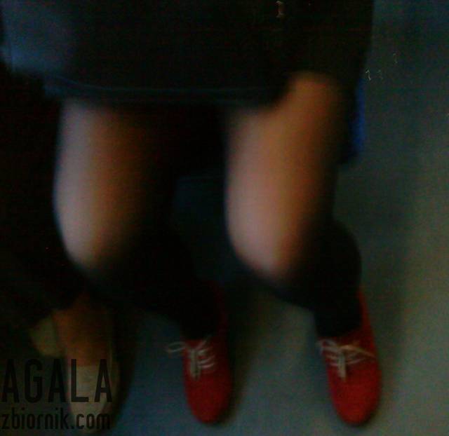 DSC05489cz.jpg - AGALA