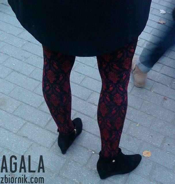 DSC05500odj.jpg - AGALA