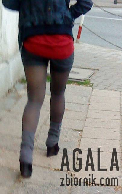 DSC05590v.jpg - AGALA