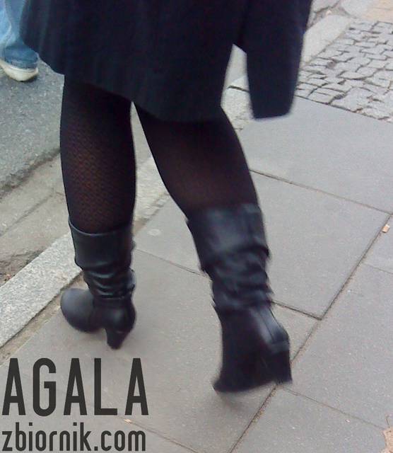 DSC05571odj.jpg - AGALA