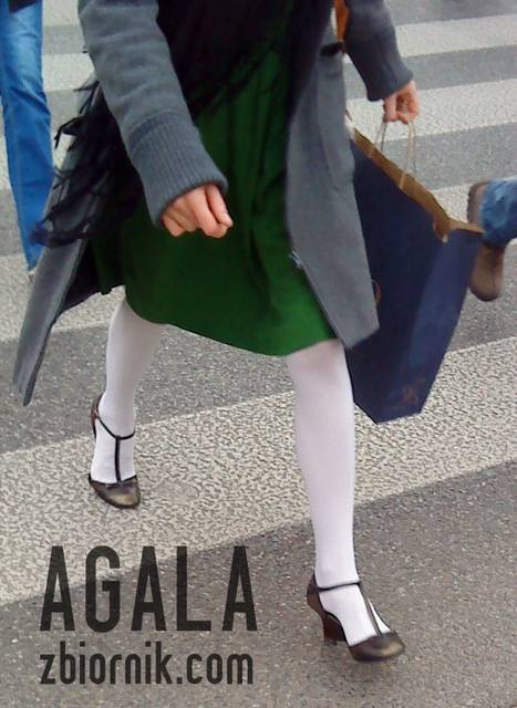 DSC05558kol.jpg - AGALA