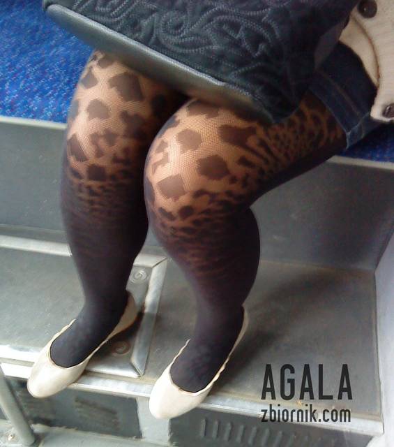 DSC05525odj.jpg - AGALA