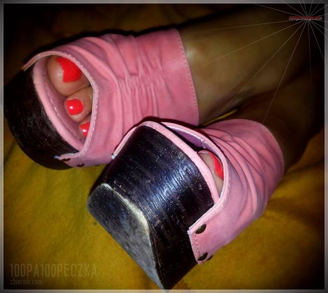 Koturny II 19 - 100pa100peczka