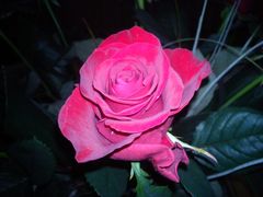 Dla..... Ciebie...;)