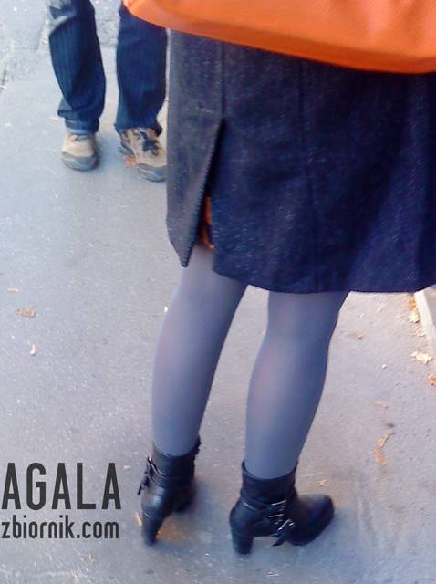 DSC05603v.jpg - AGALA