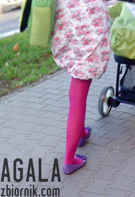 DSC05597kol.jpg - AGALA