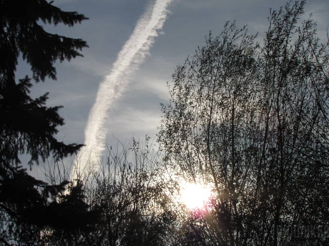 IMG_5168.JPG - wodnik50