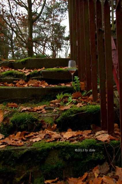 pożegnanie jesieni? - Foto_Kate