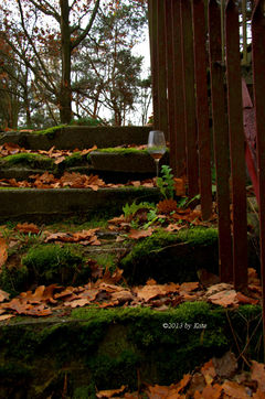 pożegnanie jesieni?