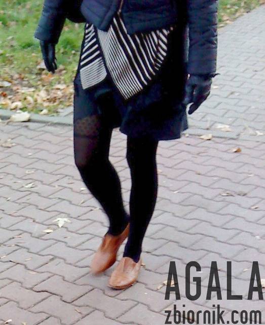 DSC05632odj.jpg - AGALA