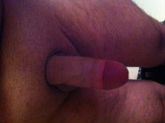 To moj penisek