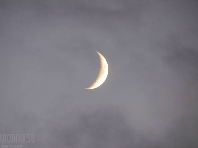 IMG_5283.JPG - wodnik50