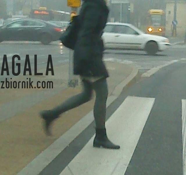 DSC05748v.jpg - AGALA