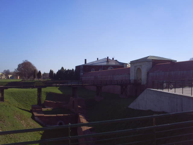 wardzyk87
