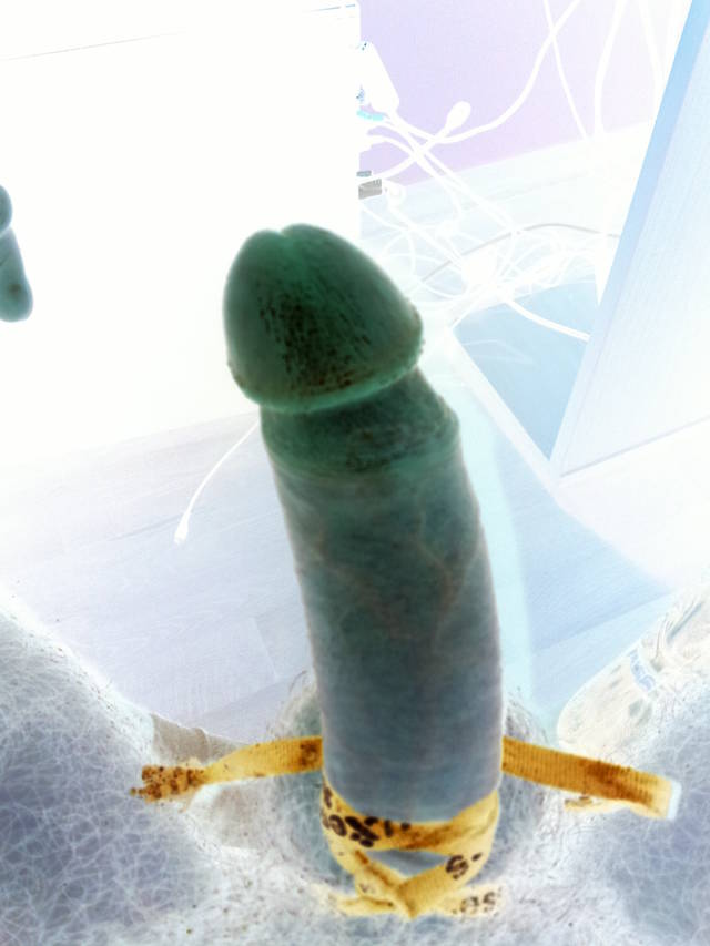 pornHolick