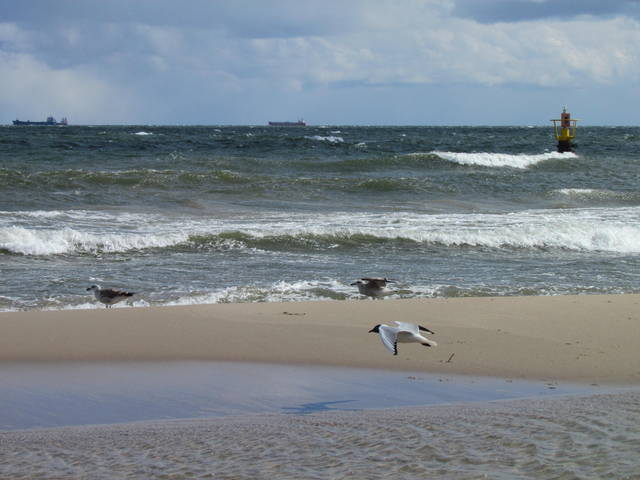 IMG_3214.JPG - wodnik50