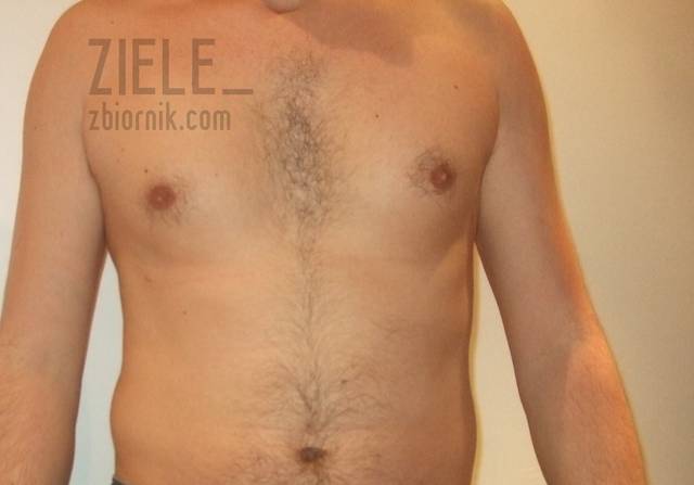 Ziele_