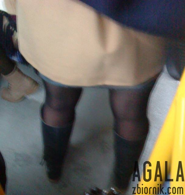 DSC05869cz.jpg - AGALA