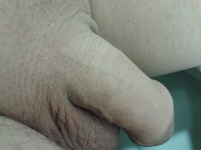 penisek - pawellek69sexbi