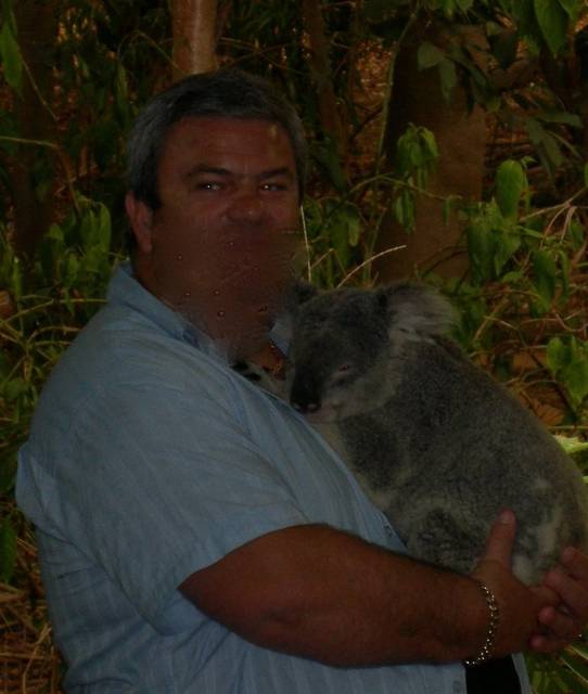 Mis Koala ( ten po prawej) - Sharky07