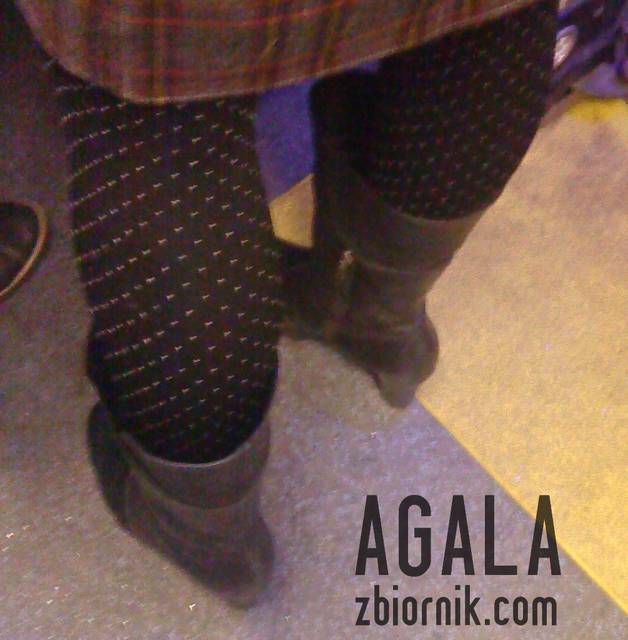 DSC05941odj.jpg - AGALA