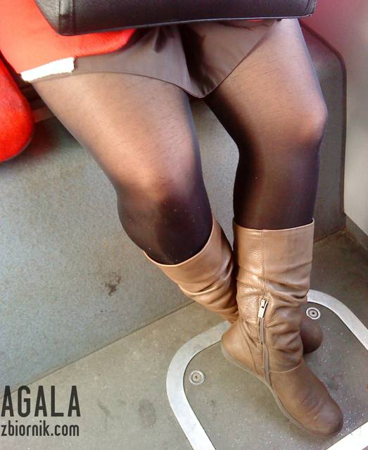 DSC05952cz.jpg - AGALA