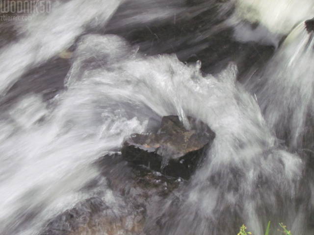 IMG_5762.JPG - wodnik50