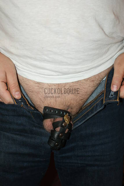 Rogacz w pasie - cuckoldowie