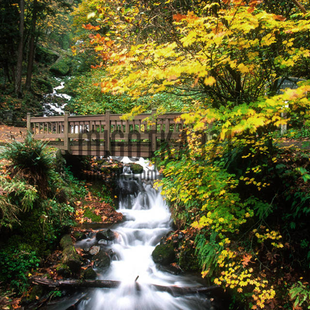 107.jpg - migotka321