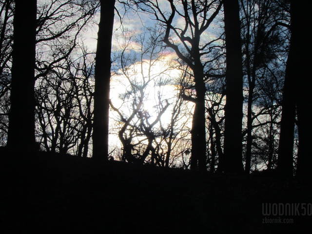 IMG_5599.JPG - wodnik50