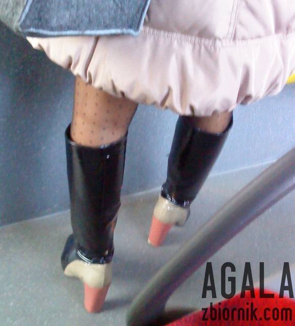 DSC05999odj.jpg - AGALA