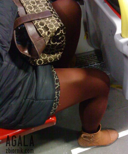 DSC06037kol.jpg - AGALA