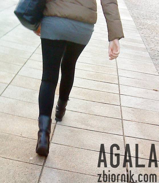 DSC06028L.jpg - AGALA