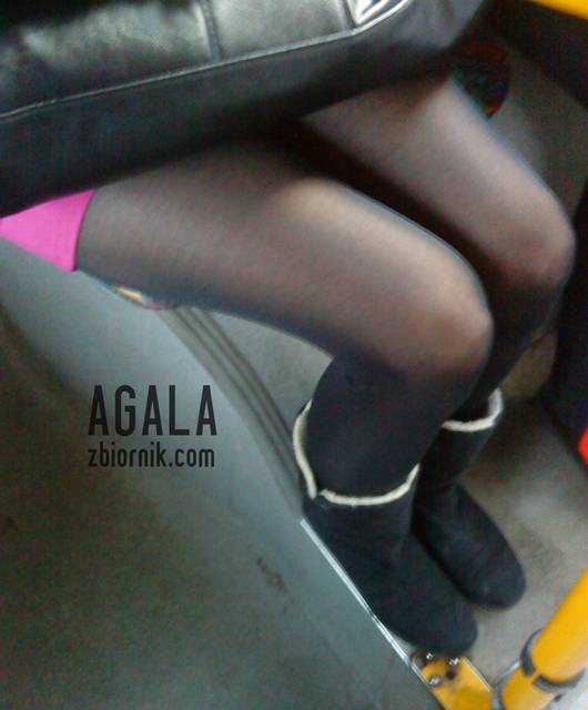 DSC06024v.jpg - AGALA