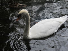 projektowanie 086.jpg