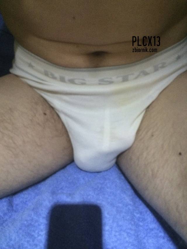 plcx13