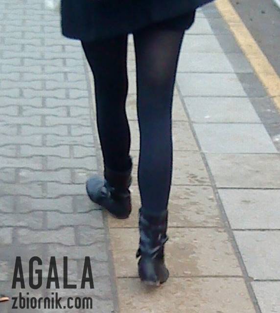 DSC06117cz.jpg - AGALA