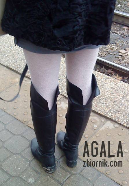 DSC06096odj.jpg - AGALA