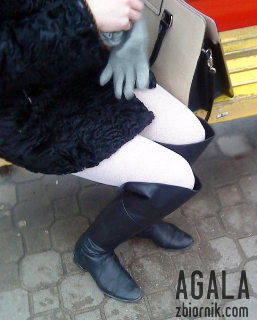 DSC06091odj.jpg - AGALA