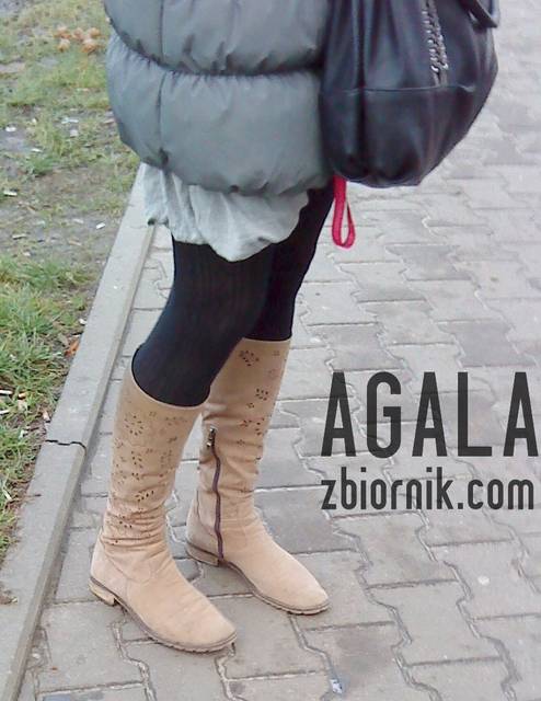 DSC06164odj.jpg - AGALA