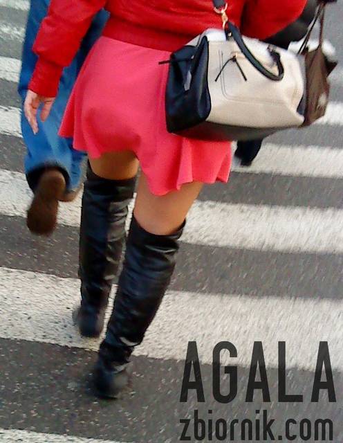 DSC06160kl.jpg - AGALA