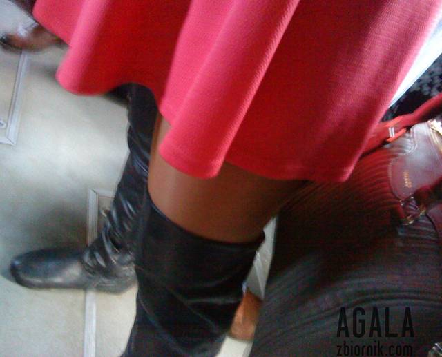 DSC06151kl.jpg - AGALA