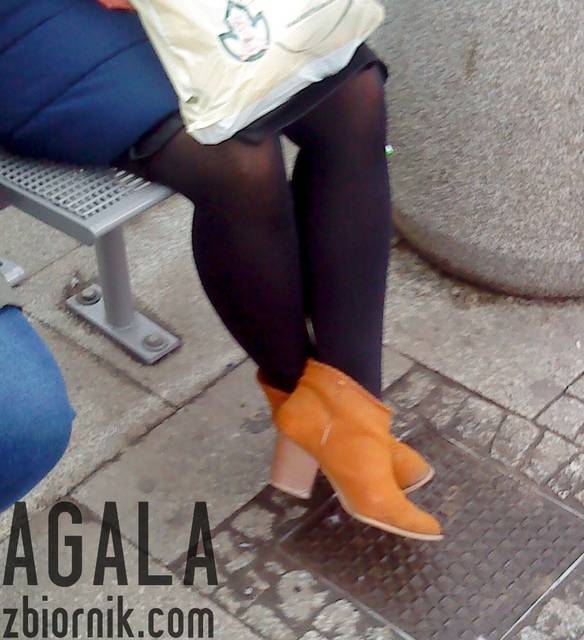 DSC06184cz.jpg - AGALA