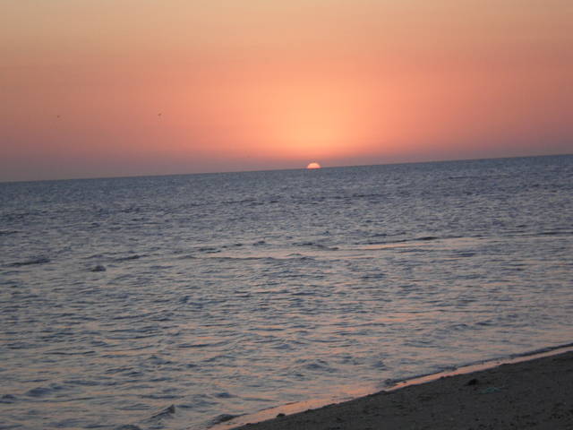 new folder3 021.jpg - arizonski