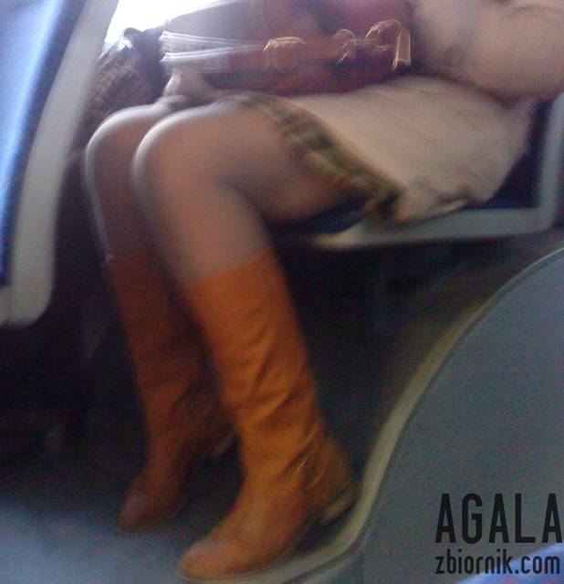 DSC06236v.jpg - AGALA