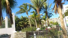 Canary 2013 grudzien