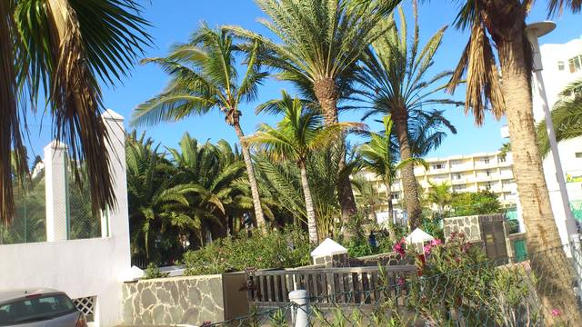 Canary 2013 grudzien - jadziunia