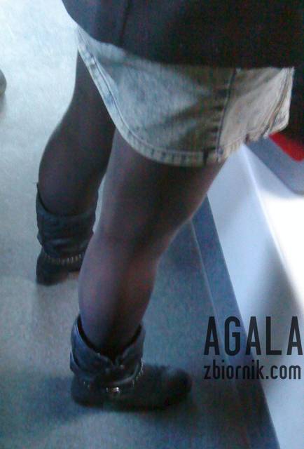 DSC06300v.jpg - AGALA