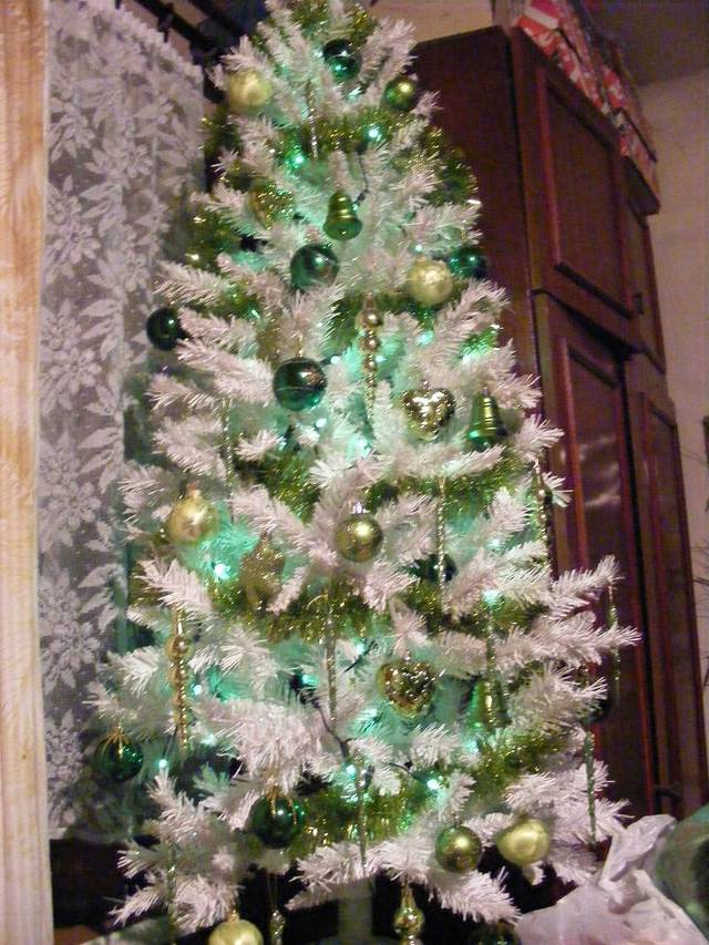 WOLNA_CHATA