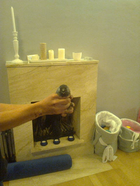 chce na wolność - mirkom